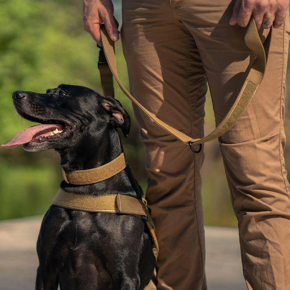 Accessories Quick Release Coyote Dog Collar - Image 6