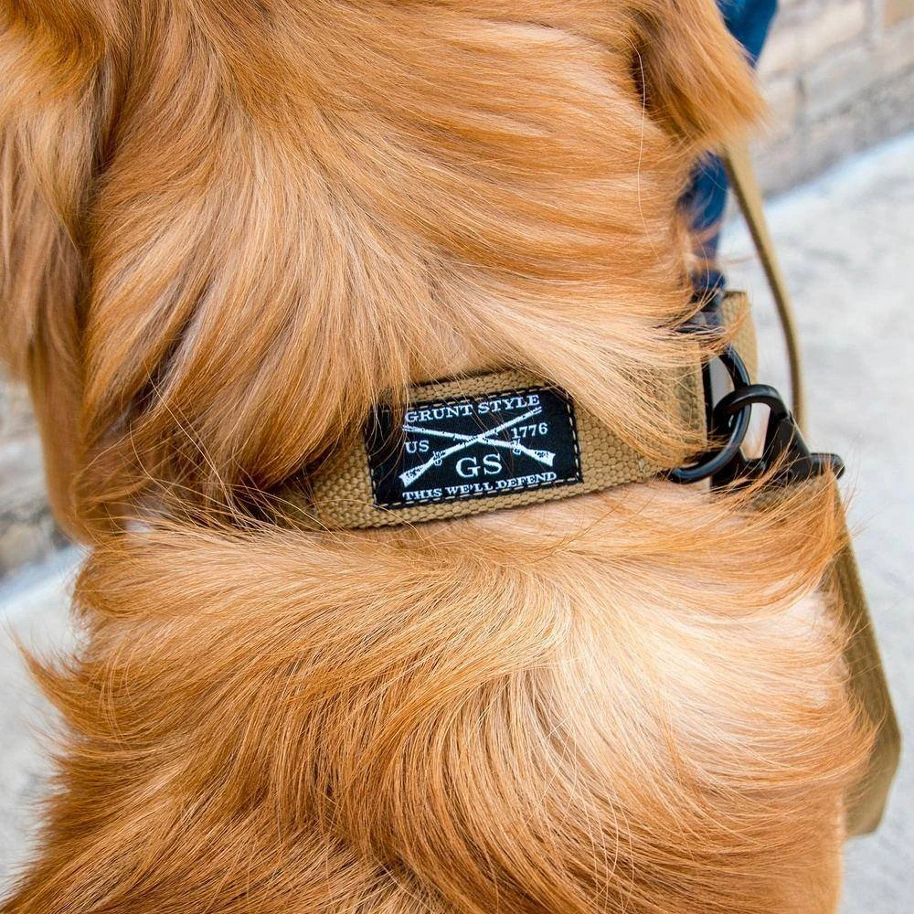Accessories Quick Release Coyote Dog Collar - Image 4